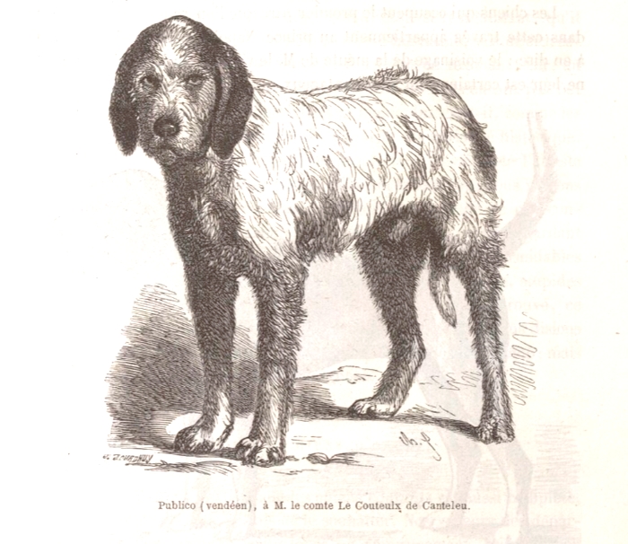 Publico à M. Le Couteulx de Canteleu - Illustration tirée de La Vie à la Campagne (Mai 1863)